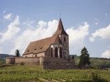 The 15th Century Fortified Church of St. Jacques and Grand Cru Vineyards