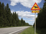 Road Sign for Elk Crossing, Highway Number 14, Punkaharju Ridge, Savonlinna