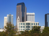 Marshall Park, Charlotte, North Carolina, United States of America, North America