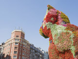 Puppy, the Dog Flower Sculpture by Jeff Koons, Bilbao, Basque Country, Spain, Europe
