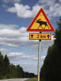 Road Sign for Elk Crossing, Highway Number 14, Punkaharju Ridge, Savonlinna