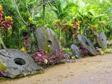 Stone Money Bank, Yap, Micronesia, Pacific