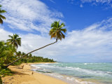 Tres Palmitas Beach, Puerto Rico, West Indies, Caribbean, Central America