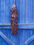 Red Chilli Peppers on Barn Door, New Mexico, United States of America, North America