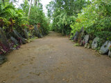 Stone Money Bank, Yap, Micronesia, Pacific