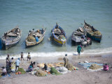 Everybody Joins in as the Morning's Catch of Fish Is Unloaded, Dhanushkodi, Tamil Nadu Photographic Print
