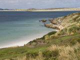 Gypsy Cove, Yorke Bay, Port Stanley, Falkland Islands, South America
