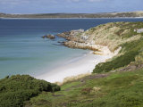 Gypsy Cove, Yorke Bay, Port Stanley, Falkland Islands, South America