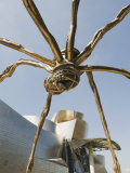 The Guggenheim, Designed by Architect Frank Gehry, and Giant Spider Sculpture by Louise Bourgeois