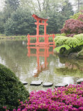 Torii Gate in Japanese Garden, Brooklyn Botanical Garden, Brooklyn