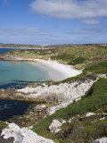Gypsy Cove, Yorke Bay, Port Stanley, Falkland Islands, South America