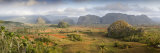 Panoramic View of the Vinales Valley Showing Limestone Hills known as Mogotes, Vinales