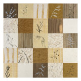 Buy Patchwork of Leaves II at AllPosters.com