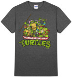 Teenage Mutant Ninja Turtles - TMNT Group (Slim Fit)