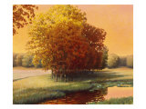 Buy Late Summer Meadow at AllPosters.com
