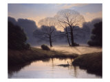 Nature's Early Morning Mist