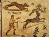 Buy Roman Mosaic, Hare Hunting, 1st century AD at AllPosters.com