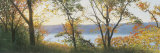Buy Autumn Scrim at AllPosters.com