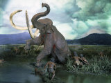 Buy Mammoth Hunt, Lower Paleolithic era, Reconstruction at AllPosters.com