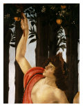 La Primavera (Spring,) Detail of Mercury Holding Wand to Orange Tree