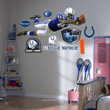 Reggie Wayne