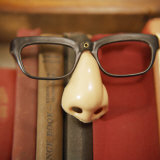 Joke Glasses and Nose in Bookshelf Photographic Print