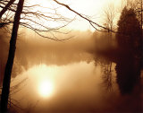 Buy Fog on Shelly Lake II at AllPosters.com