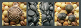 Buy Galets et Coquillages at AllPosters.com