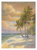 Ocean Breeze