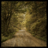 Buy Flannery Fork Road No. 1 at AllPosters.com
