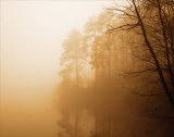 Fog on Shelly Lake I