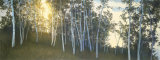 Buy Hillside Birches at AllPosters.com