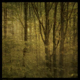 Buy Fog in Mountain Trees No. 2 at AllPosters.com