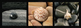 Buy Coquillages et Galets at AllPosters.com