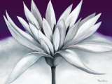 Buy Purple Morning at AllPosters.com