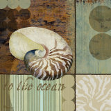 Buy Contemporary Shell II at AllPosters.com