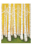 Buy Autumn Birches at AllPosters.com