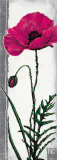 Buy Poppy Bloom III at AllPosters.com