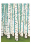 Buy Summer Birches at AllPosters.com