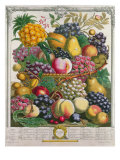 October, from 'Twelve Months of Fruits', by Robert Furber Giclee Print