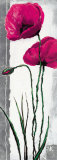 Buy Poppy Bloom I at AllPosters.com