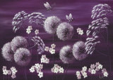 Midnight Meadow