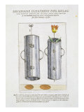 Buy Device for Re-planting Flowers, from 'Hortus Floridus', published 1614-15 at AllPosters.com