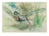 Buy Dragonfly, c.1884 at AllPosters.com