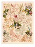 Buy Marble End Paper at AllPosters.com