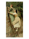 Buy Curiosity, from the Pears Annual, Christmas, 1892 at AllPosters.com