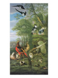 Buy Cock Pheasant, Hen Pheasant and Chicks and Other Birds in a Classical Landscape at AllPosters.com