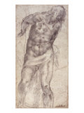 Figure Study