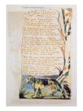 The Tyger, from Songs of Innocence