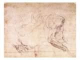 Studies of Hands and an Arm